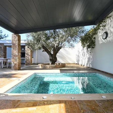 וילה Amazing Seaview In Siviri